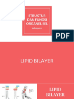 Struktur Dan Fungsi Organel Sel