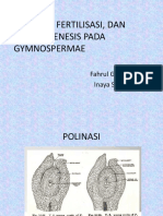 Kelompok 3 - Gymnospermae - Polinasi, Fertilisasi, Dan Embriogenesis