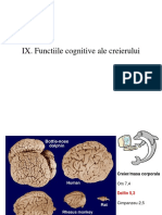 Curs_9.pdf