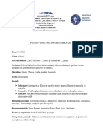 Proiect Interdisciplinar