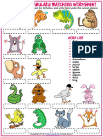 Pets Vocabulary Esl Matching Exercise Worksheet for Kids