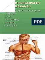 Biomedik_1_SISTEM_PENCERNAAN_u3.pdf