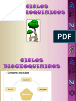 Ciclos Biogeoquimicos