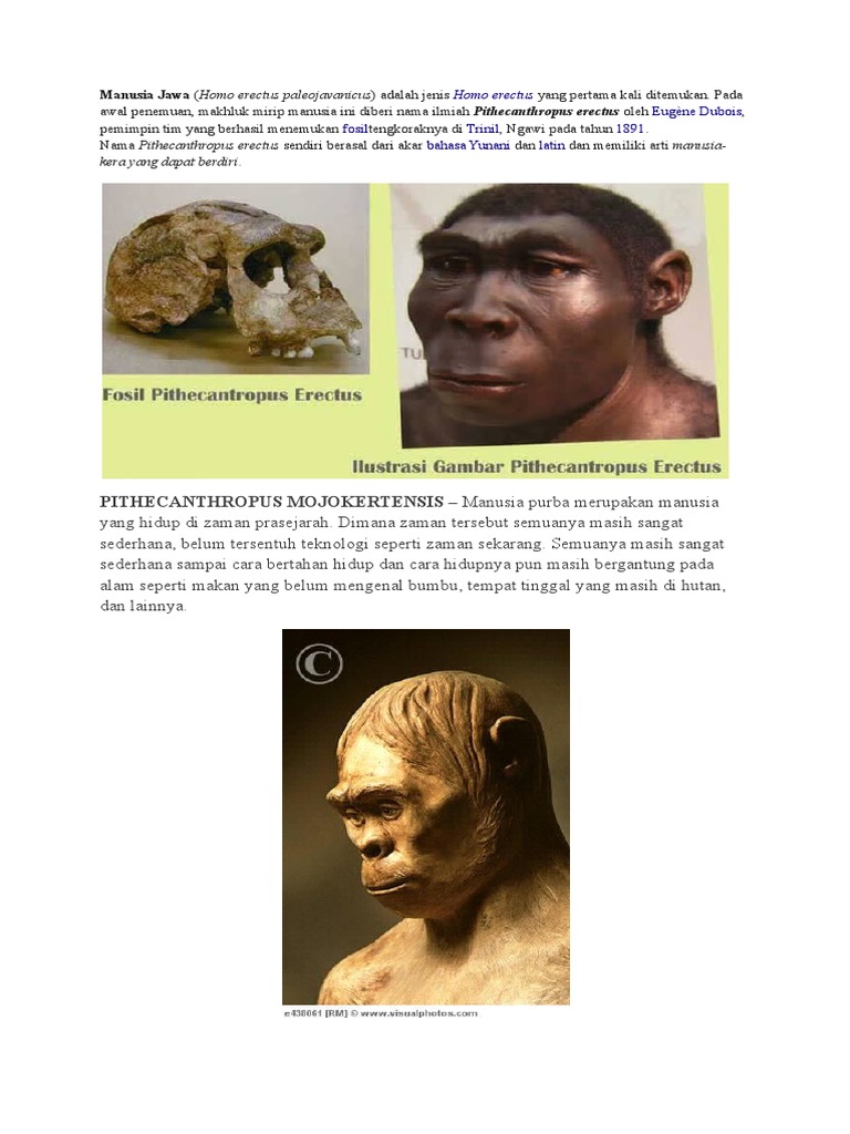 Manusia Purbadocx