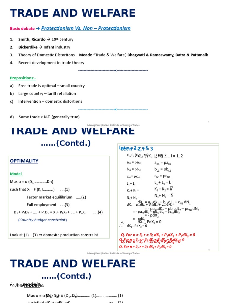 Trade Theory for Economists | PDF | Tariff | Protectionism