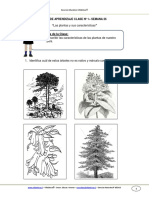 Guia de Aprendizaje - Cnaturales - 3basico - Semana - 26 - 2016 PDF