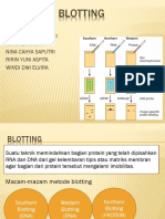 Metode Blotting