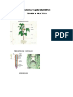 Av. Teoria y Practica