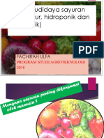 Materi_Teknik__budidaya_sayuran_2018__-Vertikultur,_hidroponik_dan.pptx