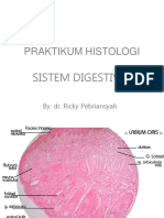 31963_Histologi Sist. Digestiva.ppt