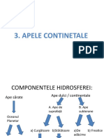 3. Ape Continentale