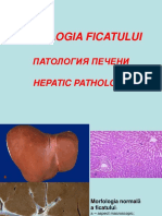 Patologia Ficatului