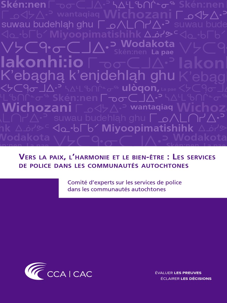 La radio communautaire, un outil pour la survie des langues autochtones, La Décennie internationale des langues autochtones