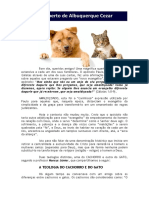 29 06 2016 a Teologia Do Cachorro e Do Gato