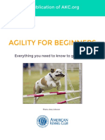 Agility-Ebook Final 120514 PDF