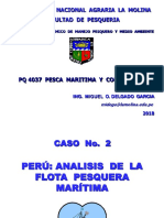 4 CASO 2 ANALISIS FLOTA PERU 2018.pdf