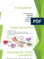Expo Patologia PDF