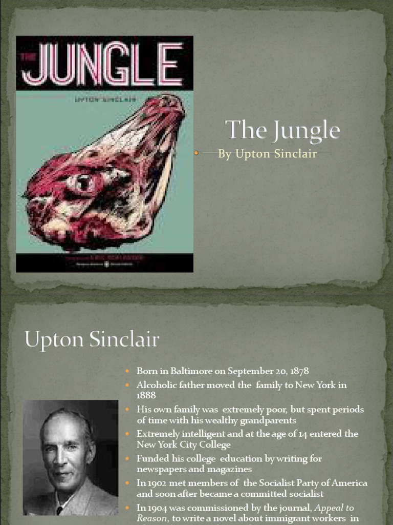 Jungle PDF The Jungle Meat Packing Industry