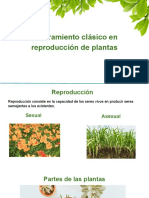 Mejoramiento clásico en reproducción de plantas