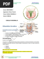 Degrabada de Glandula Tiroides-Aemh2018 PDF