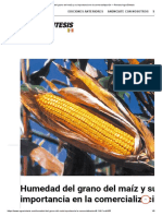 Humedad Del Grano Del Maíz y Su Importancia en La Comercialización - Revista AgroSíntesis