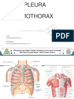 Efusi Pleura Dan Pneumothorax