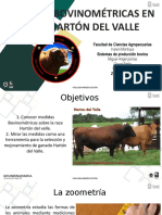 Medidas Bovinometricas Harton Del Valle
