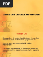 Common Law, Case Law and Precedent