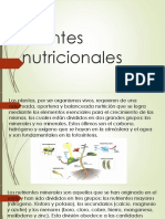 Fuentes Nutricionales