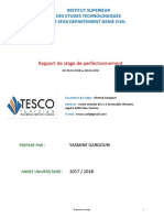 Rapport de Stage Fini PDF