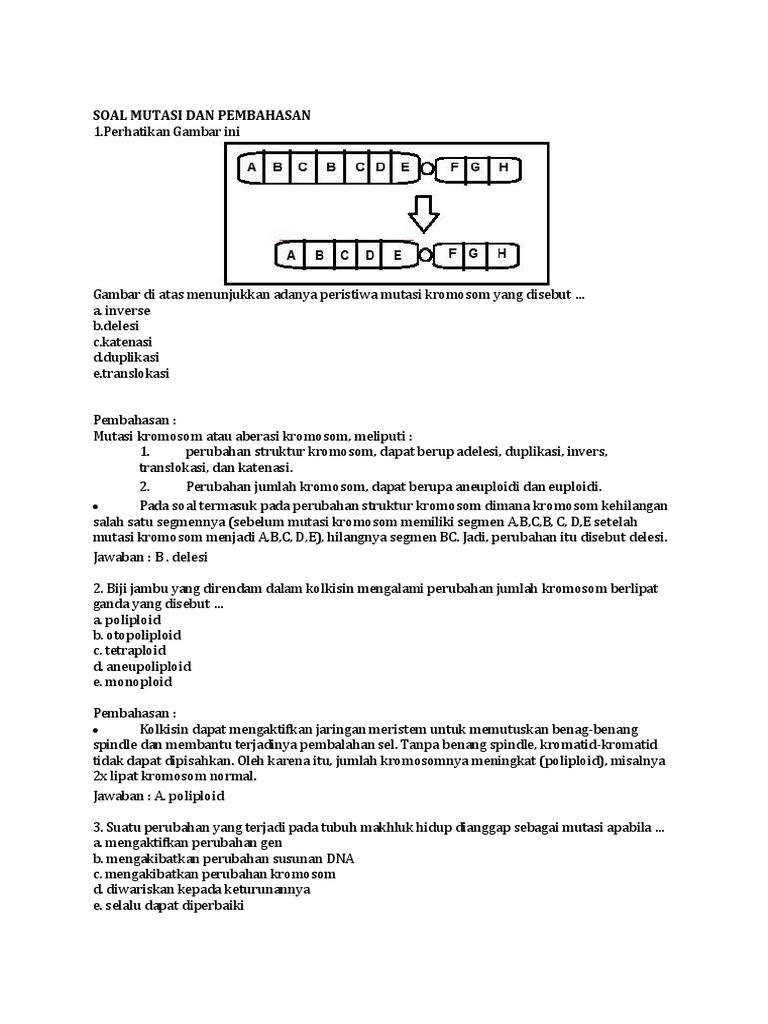 Soal Mutasi Dan Pembahasan Docx