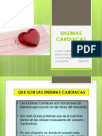 Enzimas Cardiacas