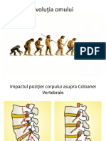 Suport Ortopedic Power Point Presentation