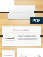 Bioquimica Vegetal