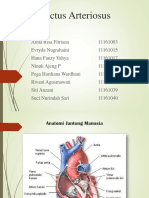 Pda-1