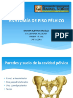 Anatomía de Piso Pélvico.