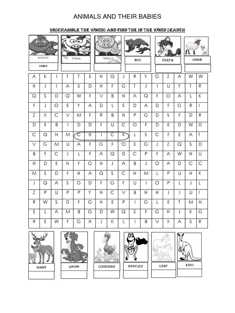 Unscramble The Words and Find The in The Word Search PDF