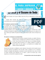 Ficha La Seda y El Gusano de Seda para Cuarto de Primaria PDF
