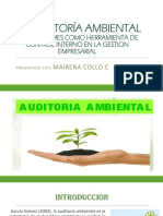 LA AUDITORÍA AMBIENTAL.pptx