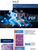 USMP PRACTICA 3 - HISTOLOGIA  2017 -  CARTILAGO, HUESO Y.pptx