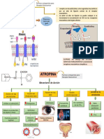 Atropina 2
