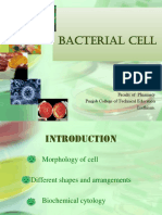 bacterial Cell.ppt