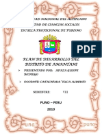 DESARROLLO Amantani PDF