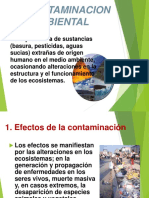 La Contaminacion Ambiental 091023082715 Phpapp01