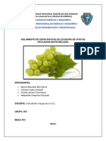 Informe 1