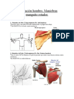 Inspeccion Manguito Rotador