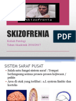 Skizofrenia 20162017