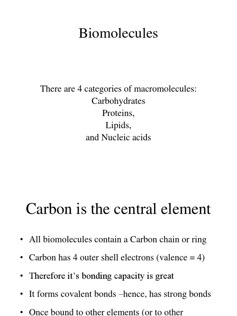 Overview of Biomolecules and Their Functions | PDF | Glucose ...