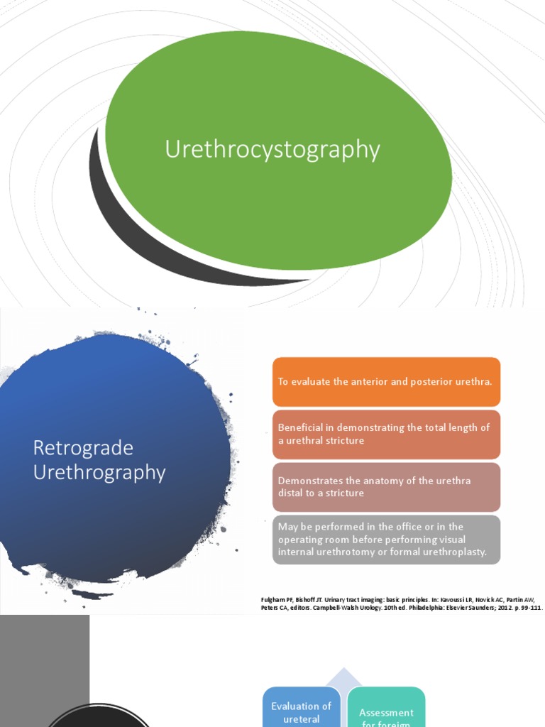 Urethrocystography | PDF | Animal Anatomy | Human Anatomy