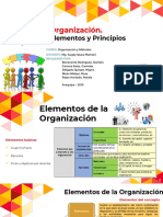 Organización y principios de la organización